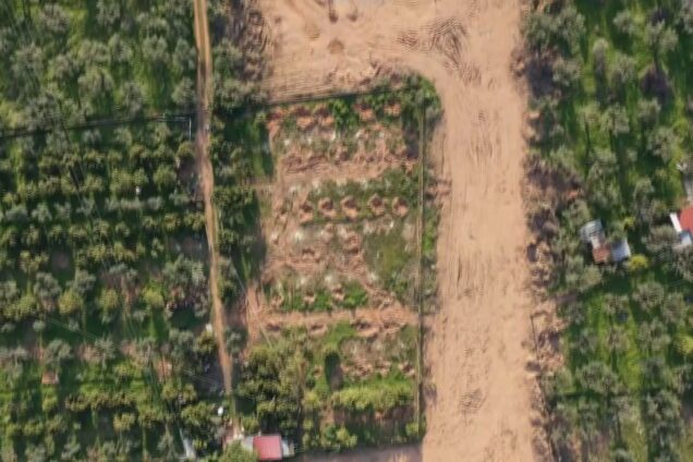 Έρευνες της taskforce για τον ΟΠΕΚΕΠΕ: Στο μικροσκόπιο οι αγρότες που έχουν λάβει τις υψηλότερες ενισχύσεις